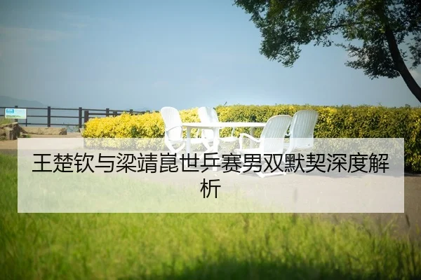 wang-chu-qin-yu-liang-jing-kun-shi-ping-sai-nan-shuang-mo-qi-shen-du-jie-xi-2-428.jpg